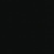 RayZR