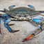 BlueCrab