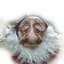 kebab_nisse