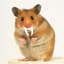 SABERTOOTH HAMSTER