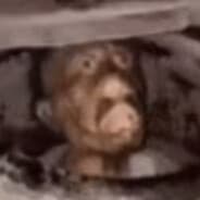 log_the_dog15