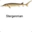 Stergenman