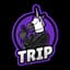 Trip