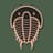 Trilobite