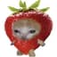 StrawberryCat