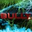 BULLY
