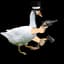 Goose (friendly version)