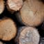Big Logs