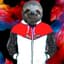 Sloth