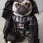 DarthPugger