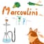 Marcoulini