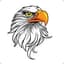 Snow_Eagle007