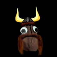 ViKingNutz
