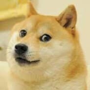 Papi_waffle