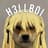 HELLBOI