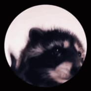 PEDRO PEDRO PEDRO