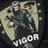 vigorZ