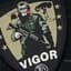 vigorZ