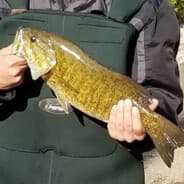 Mr.Fish