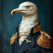 Twisted_Seagull [TGL]