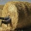 Haybale