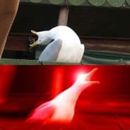 Awkward Seagull
