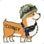 Corgy