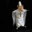 pope rat