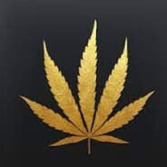 paparozz