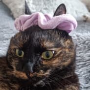 Röpi