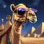 A Magical Camel