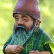 Local Wizerd Gnome
