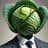 CabbageHead