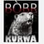 Kurwa Bobr