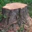 Stump