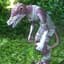 BaronVonScrag