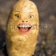 POTATOMUFFIN