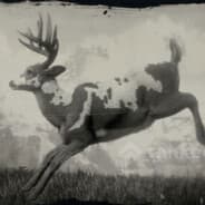 deaddeer6677