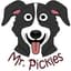 Mr. Pickles
