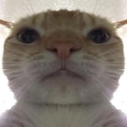 Plimpus