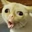 Asele