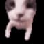 Tom