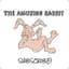 TheAmusingRabbit