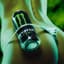 Monster Energy