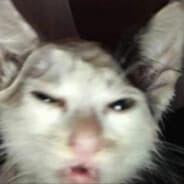 lil gnom