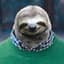 preppysloth
