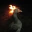 Goose