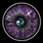 LensEyeLevi