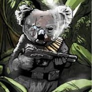 Koalafide