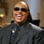 Stevie Wonder